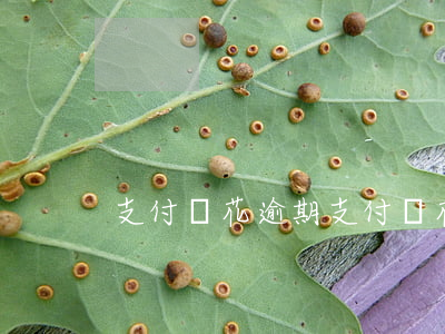 支付寶花逾期 支付寶花唄逾期了會怎么樣嗎