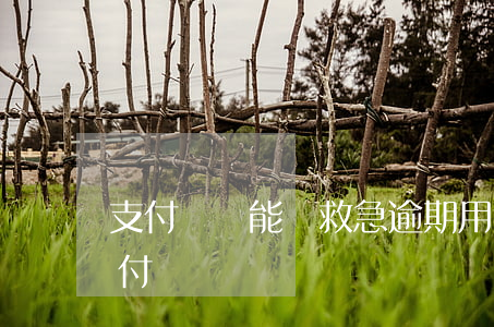 支付寶萬能幫救急逾期 用錢寶逾期一直在支付寶
