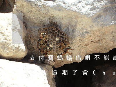 支付寶螞蟻借唄不能逾期(支付寶螞蟻借唄還不上逾期了會(huì)怎么樣)
