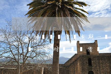 支付寶螞蟻借唄逾期一個(gè)月說要起訴-支付寶螞蟻借唄逾期一個(gè)月說要起訴是真的嗎