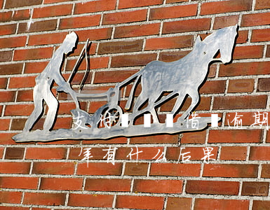 支付寶螞蟻借唄逾期一年(支付寶借唄逾期一年有什么后果)