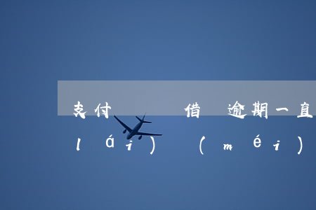 支付寶螞蟻借唄逾期一直不還(支付寶從來(lái)沒(méi)有逾期過(guò),借唄無(wú)緣無(wú)故沒(méi)有了)