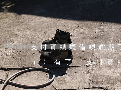支付寶螞蟻借唄逾期了怎么額度也沒(méi)有了-支付寶螞蟻借唄逾期了怎么額度也沒(méi)有了呀