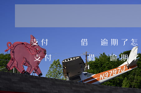 支付寶螞蟻借唄逾期了,怎么額度也沒有了-支付寶螞蟻借唄逾期了,怎么額度也沒有了呢