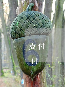 支付寶螞蟻借唄逾期十幾萬(wàn)-支付寶螞蟻借唄逾期十幾萬(wàn)會(huì)怎么樣