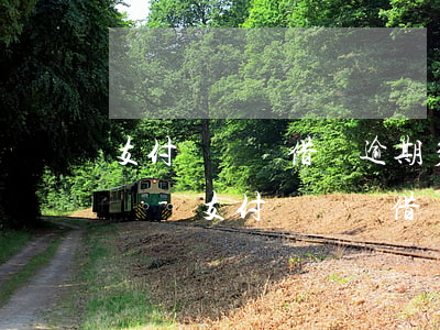 支付寶螞蟻借唄逾期多久會(huì)被起訴-支付寶螞蟻借唄逾期多久會(huì)被起訴,金額達(dá)到多少?
