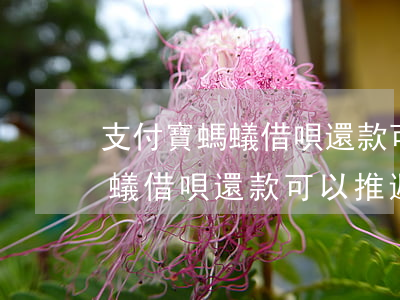 支付寶螞蟻借唄還款可以推遲嗎-支付寶螞蟻借唄還款可以推遲嗎多久