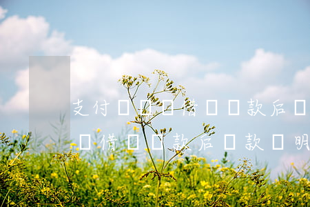 支付寶螞蟻借唄還款后貸款證明-支付寶螞蟻借唄還款后貸款證明怎么開