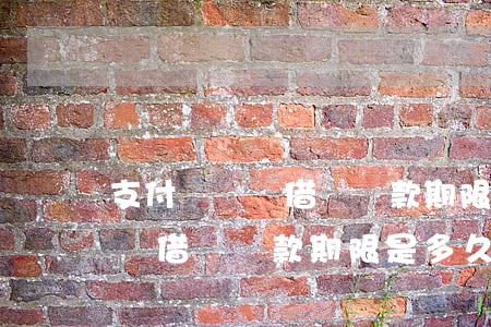 支付寶螞蟻借唄還款期限是多久-支付寶螞蟻借唄還款期限是多久啊