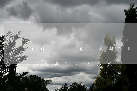 支付寶螞蟻花唄逾期70天-支付寶螞蟻花唄逾期70天怎么辦