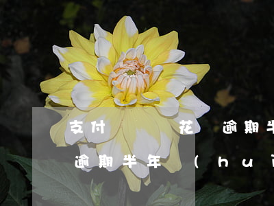 支付寶螞蟻花唄逾期半年-支付寶螞蟻花唄逾期半年會(huì)怎樣