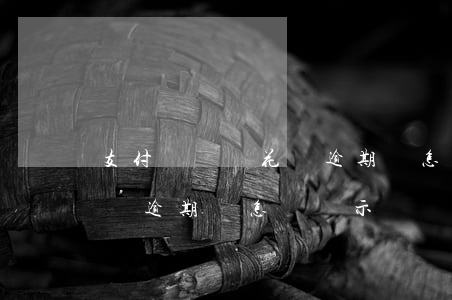 支付寶螞蟻花唄逾期會怎樣-支付寶螞蟻花唄逾期會怎樣顯示