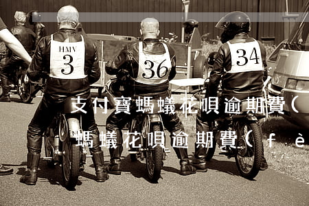 支付寶螞蟻花唄逾期費(fèi)-支付寶螞蟻花唄逾期費(fèi)用怎么算