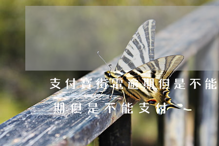支付寶街電逾期但是不能支付(支付寶街電逾期但是不能支付)