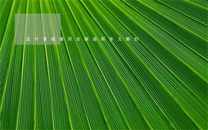 支付寶被備用余額逾期多久解封