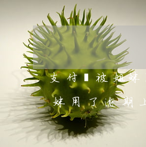 支付寶被姐妹用了逾期上征信-支付寶被姐妹用了逾期上征信