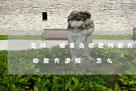 支付寶被拿去收款付款方起訴我了-支付寶收款方遭投訴怎么辦