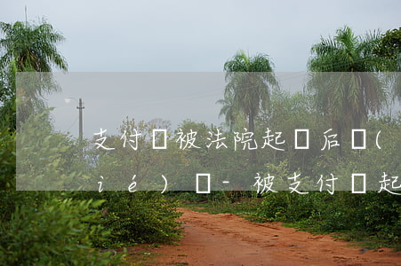 支付寶被法院起訴后會(huì)凍結(jié)嗎-被支付寶起訴了法院會(huì)凍結(jié)被告人所以銀行卡嗎