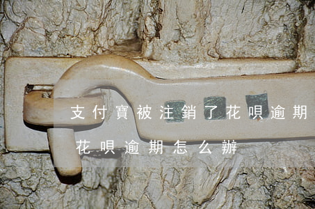 支付寶被注銷了花唄逾期-支付寶被注銷了花唄逾期怎么辦