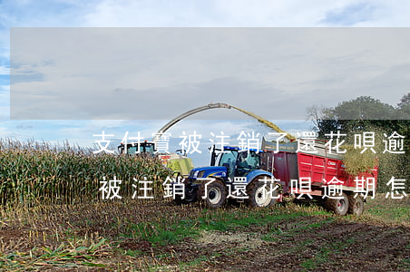 支付寶被注銷了還花唄逾期怎么還-支付寶被注銷了還花唄逾期怎么還款
