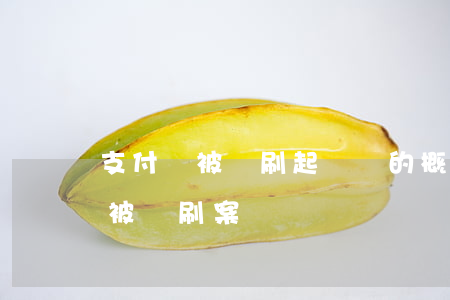 支付寶被盜刷起訴贏的概率大不大-支付寶被盜刷案