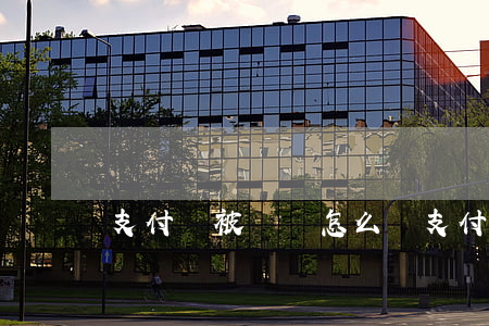 支付寶被訴訟怎么辦（支付寶顯示被法院起訴）