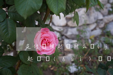 支付寶被起訴什么結(jié)果(被支付寶起訴會(huì)凍結(jié)名下所有資產(chǎn)嗎)