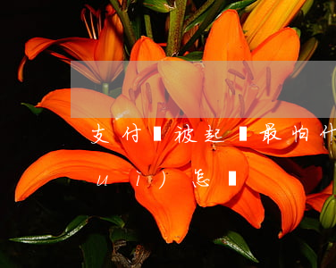 支付寶被起訴最怕什么(支付寶起訴了會(huì)怎樣)