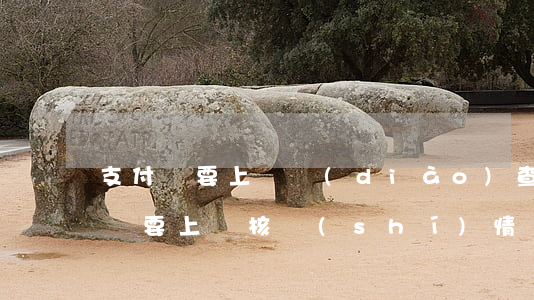 支付寶要上門調(diào)查起訴-支付寶要上門核實(shí)情況準(zhǔn)備起訴材料了