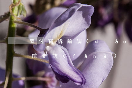 支付寶訴前調(diào)查（支付寶逾期訴前走訪(fǎng)）