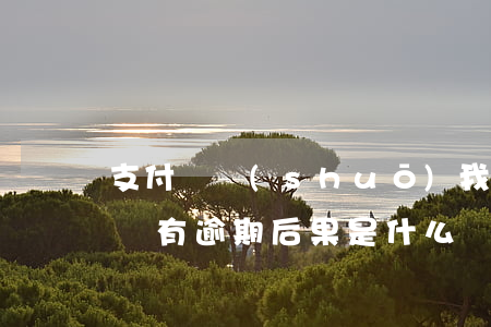 支付寶說(shuō)我花唄逾期(支付寶花唄有逾期后果是什么)