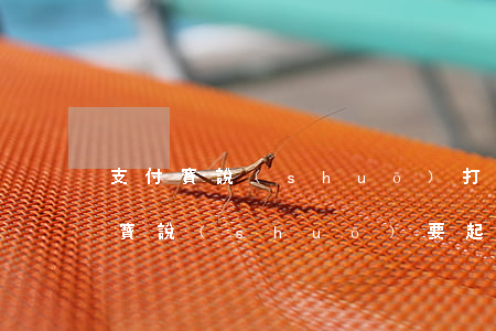 支付寶說(shuō)打包杭州起訴-支付寶說(shuō)要起訴是真的還是嚇唬