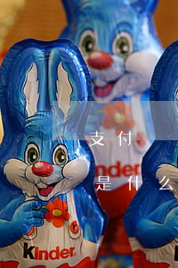 支付寶說我花唄逾期(支付寶花唄有逾期后果是什么)