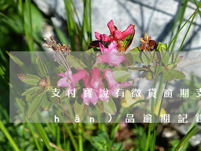 支付寶說有微貸逾期 支付寶你有微貸產(chǎn)品逾期記錄