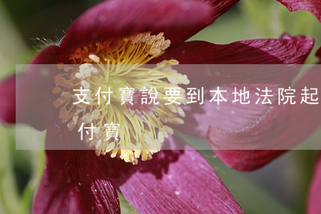 支付寶說要到本地法院起訴（異地如何起訴支付寶）