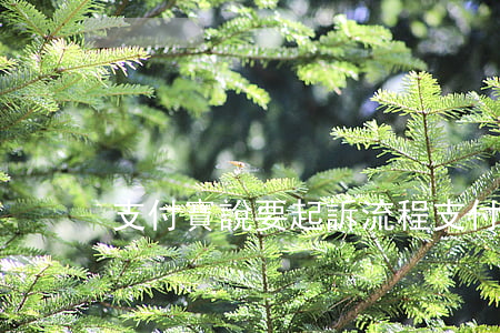 支付寶說要起訴流程 支付寶說要起訴流程