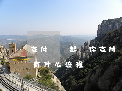 支付寶說起訴你(支付寶說起訴我了,接下來會有什么流程)
