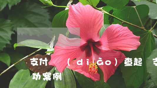支付寶調(diào)查起訴 支付寶起訴成功案例