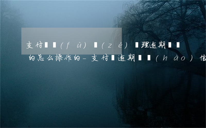 支付寶負(fù)責(zé)辦理逾期掛賬的怎么操作的-支付寶逾期掛號(hào)信的內(nèi)容