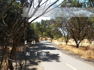 支付寶買的景點票怎么退（旅游景點支付寶逾期了能買票嗎）