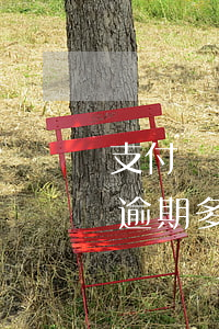 支付寶貸款3萬逾期影響征信嗎(支付寶借款逾期多久會有征信問題)