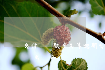 支付寶貸款多久算逾期(支付寶逾期貸款還能貸出來么)