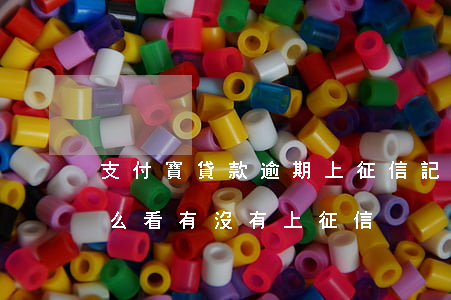 支付寶貸款逾期上征信記錄嗎(支付寶逾期怎么看有沒有上征信)