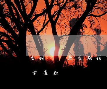 支付寶貸款逾期信息通知(支付寶逾期收到訴前通知)