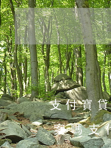 支付寶貸款逾期會(huì)報(bào)案嗎（支付寶信托放款逾期會(huì)有記錄嗎）