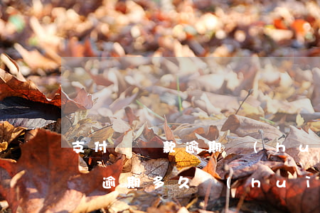 支付寶貸款逾期會(huì)被起訴嗎(支付寶逾期多久會(huì)被起訴會(huì)有什么后果)