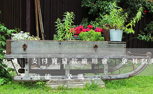 支付寶貸款逾期會減免利息嗎(支付寶逾期利息能減免嗎)