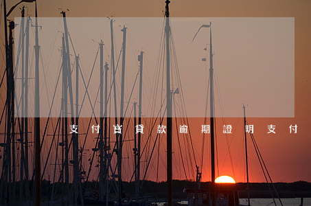 支付寶貸款逾期證明(支付寶逾期申述)