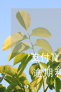 支付寶貸逾期后利息多少(支付寶借款利息和逾期利息是多少)