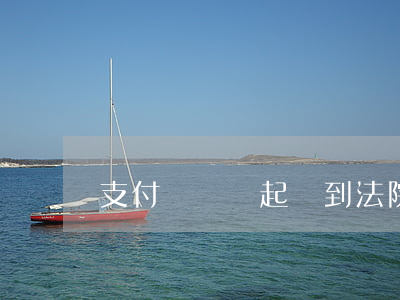 支付寶賬單起訴到法院-支付寶賬單 訴訟